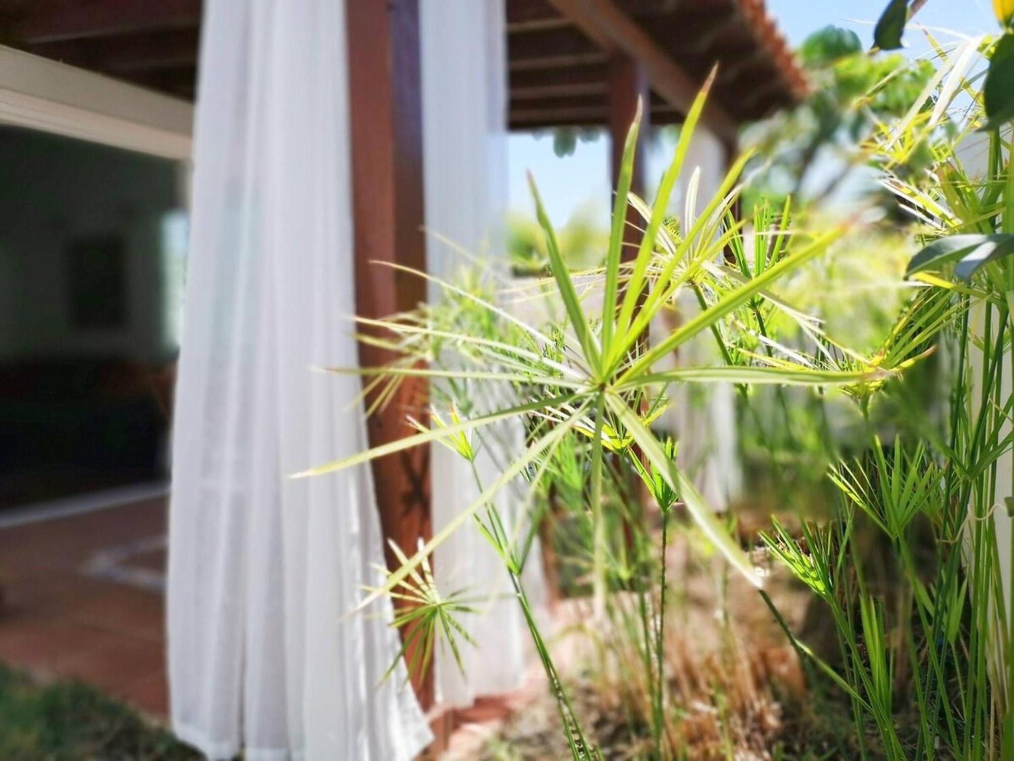 Los Porches D40 By Pride Holiday Rentals San Bartolomé Kültér fotó
